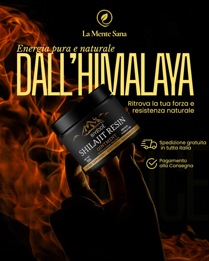 Shilajit 100% puro 💎 Fonte di energia vitale dell'Himalaya